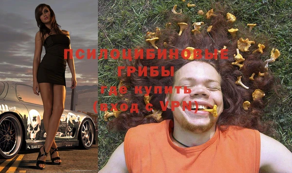 метадон Мегион