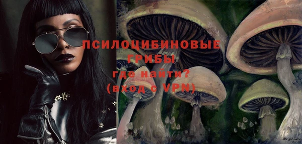 тгк Магадан